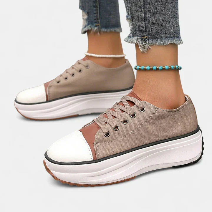 Brown / 11
